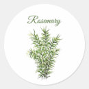 Search for culinary stickers Herb