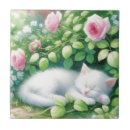 Search for wooden box Watercolor