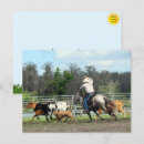 Search for horse ranch postcards Cowboy