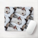 Search for chihuahua puppies mouse mats Animal
