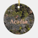 Search for harbor christmas tree decorations Acadia national park