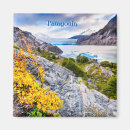 Search for paine magnets Travel