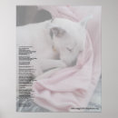 Search for profiteers posters Pets