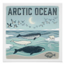 Search for narwhal art Whales