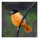 Search for oriole posters Baltimore