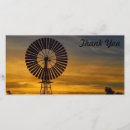 Search for windmill cards Sunset