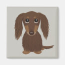 Search for cute square magnets Brown