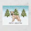 Search for wheaten terrier postcards Winter