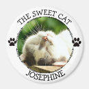 Search for sweet dog magnets Pet