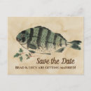 Search for vintage fish postcards Antique