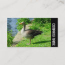 Search for goose business cards Modern