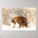 Search for tiger posters Snow