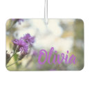 Search for car air fresheners Photography
