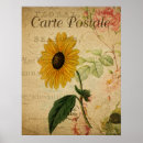 Search for vintage sunflower posters Botanical