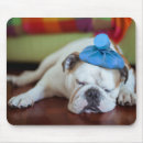 Search for sick mouse mats Puppy