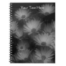 Search for african daisy notebooks Nature