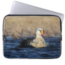 Search for birdwatcher cases Birder