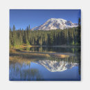 Search for jamie magnets Judy wild