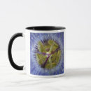 Search for passion flower mugs Flora