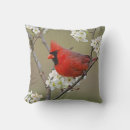 Search for environment cushions Habitat