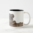 Search for toad frosted glass mugs Amphibian