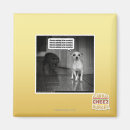 Search for scared magnets I can has cheezburger