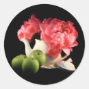 Search for fruit and flowers stickers Apples