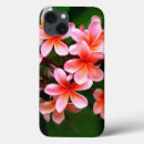 Search for pink plumeria iphone cases Floral