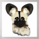 Search for african wild dog posters Dogs