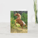 Search for rearing cards Horses