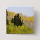 Search for road tree badges Usa
