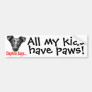 Search for my kid bumper stickers Dog
