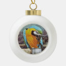 Search for macaw christmas tree decorations Pet