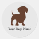 Search for dashund Dachshund