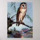 Search for barn owl posters Owls