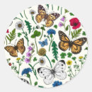 Search for white dandelion stickers Botanical