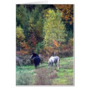 Search for percherons Nature