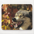 Search for lupus mouse mats Wildlife