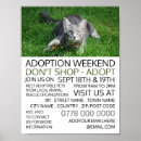 Search for cat adoption posters Animals
