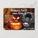 Search for pet pug invitations Animals