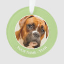 Search for boxer home living One animal