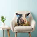 Search for holstein cow cushions Dairy cattle