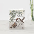 Search for feed cards Bird