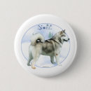 Search for alaskan malamute accessories Canine