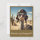 Search for ostrich postcards Birds