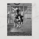 Search for barrel vertical postcards Rodeo