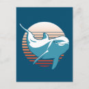 Search for dolphin design postcards Under the sea