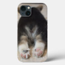 Search for corgi iphone cases Canine