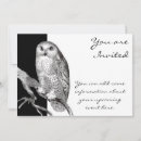 Search for snowy owl invitations Owls