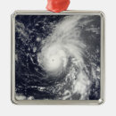 Search for storm christmas tree decorations Vertical